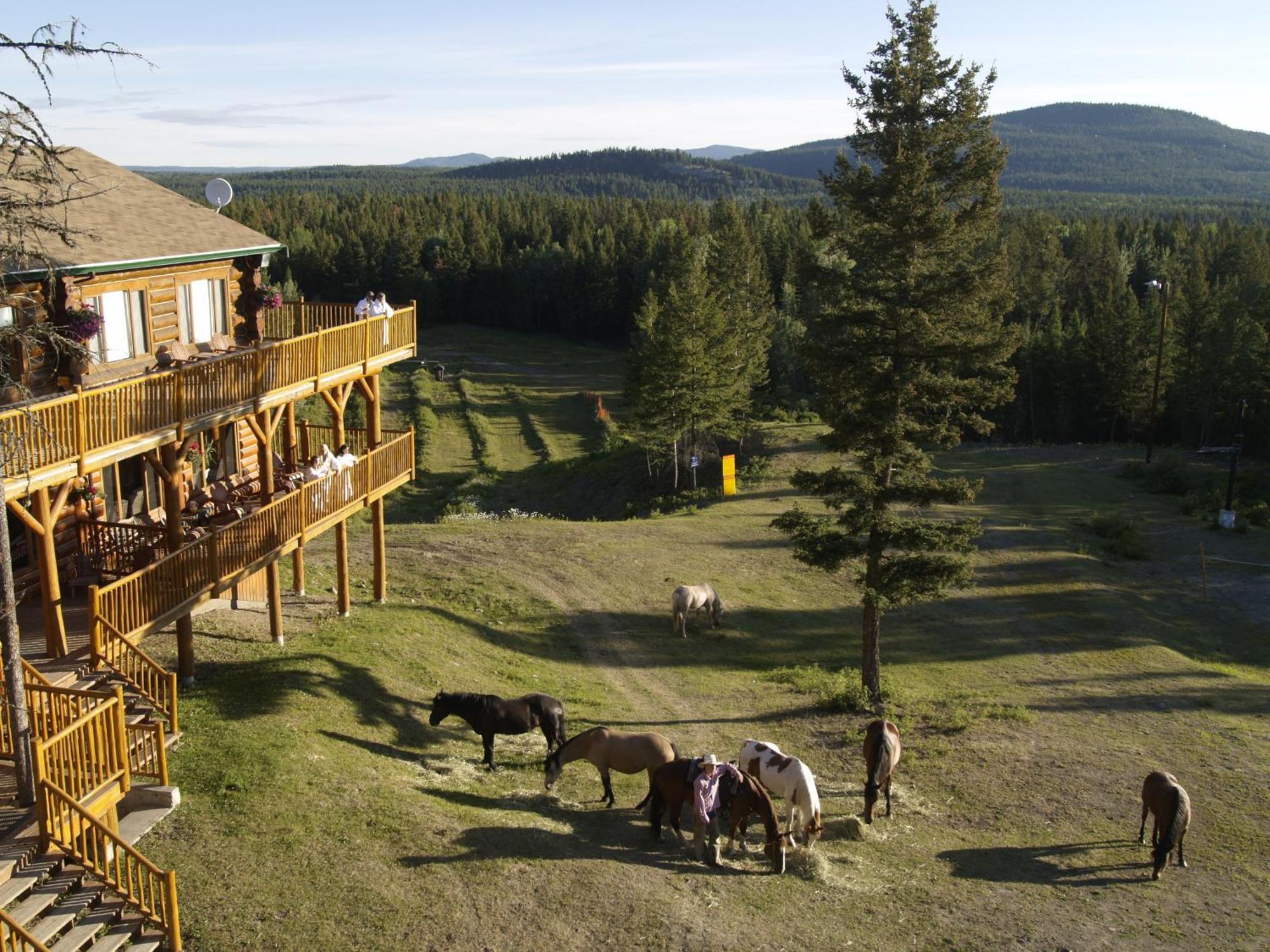 Spruce Hill Resort & Spa 108 Mile Ranch Eksteriør billede