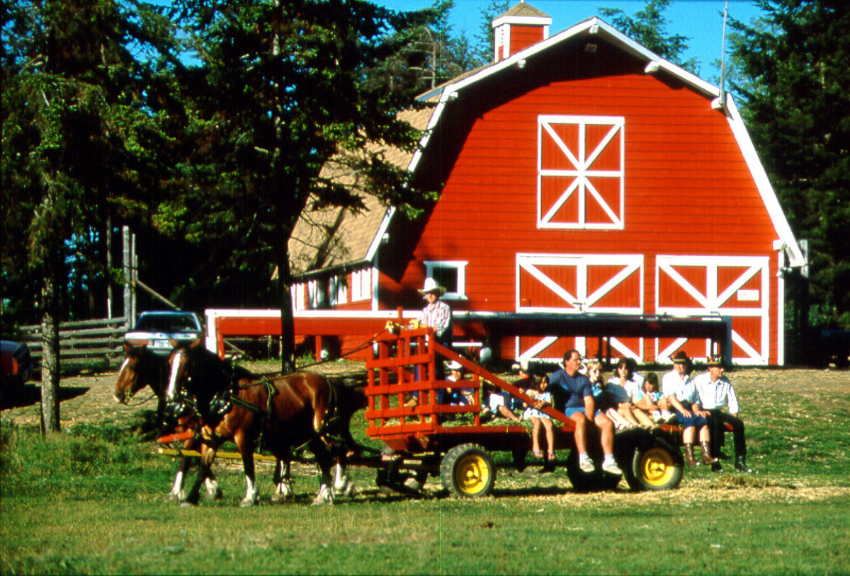 Spruce Hill Resort & Spa 108 Mile Ranch Eksteriør billede